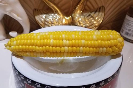 梦见吃玉米棒是什么意思 它是一种好运的征兆吗 图片1