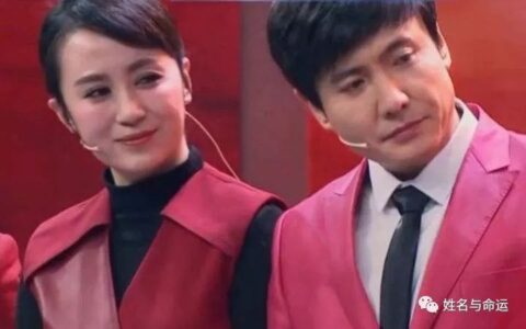 沈腾你还真离不开的黄金搭档—马丽