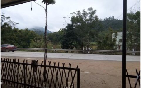 当代杨救贫《催财68式》实地验证