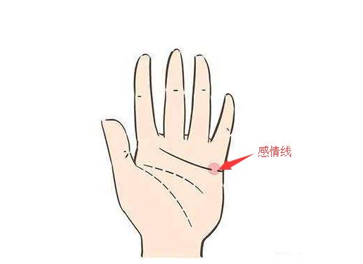 用掌纹解读今生姻缘,你的掌纹代表什么? 图片4 用掌纹解读今生姻缘,你的掌纹代表什么? 图片3