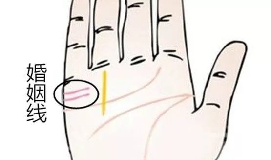 用掌纹解读今生姻缘,你的掌纹代表什么? 图片6 用掌纹解读今生姻缘,你的掌纹代表什么? 图片5