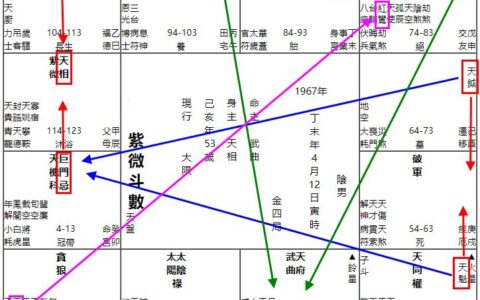 什么是紫微斗数力量权重比？如何分配受力点？