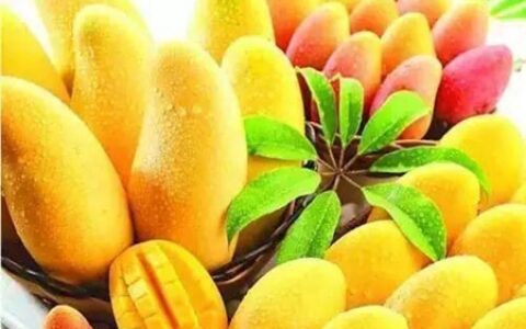 梦见芒果是什么意思 它是一种好运的征兆吗