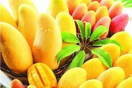 梦见芒果是什么意思 它是一种好运的征兆吗 图片6 梦见芒果是什么意思 它是一种好运的征兆吗 图片5