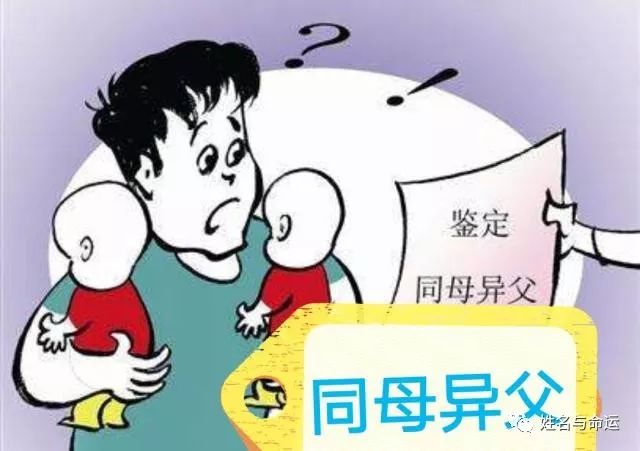 厦门那对同母异父的双胞胎，命运会一样吗？ 图片3