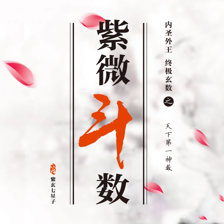 学习紫微斗数，格局是一个很重要的关口 图片1