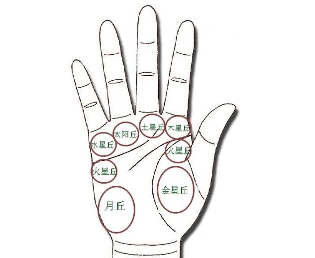 如何通过面相和特征看出一个人是否有福？ 图片5