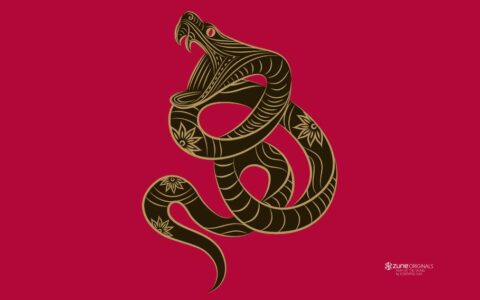 1965年出生的属蛇的人2020年运程