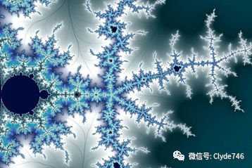 生命的数学意义 图片3