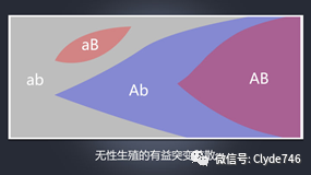 生命的数学意义 图片5