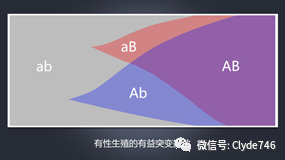 生命的数学意义 图片7