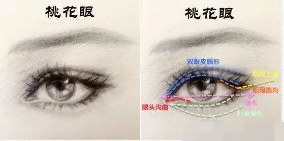 渣女图鉴，教你通过面相识别渣女特征 图片13