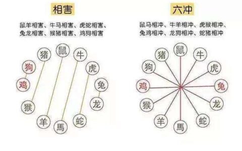 生肖犯六冲，最好不要恋爱结婚合作做生意！