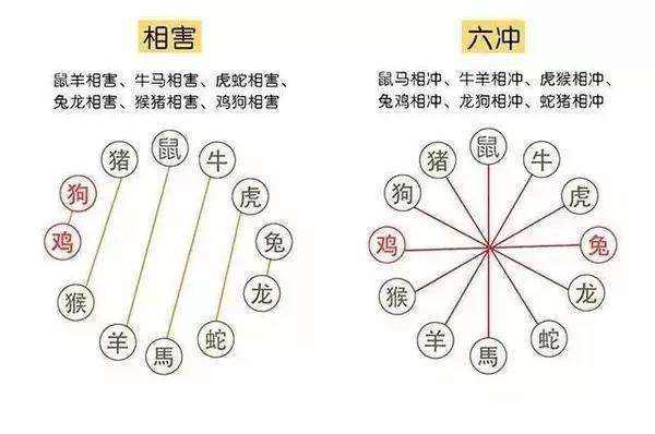 生肖犯六冲，最好不要恋爱结婚合作做生意！ 图片5