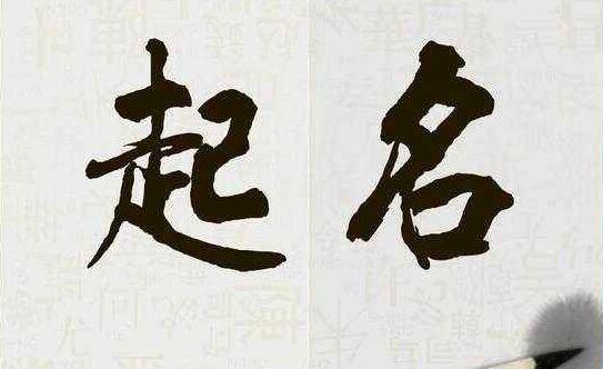 每个人的姓名都有一种尊严感和仪式感，所以起名需重视 图片1