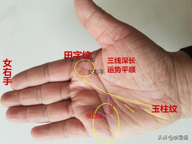 手相实例：巽宫田字纹，衣食无亏！ 图片3