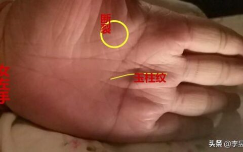 手相实例：巽宫田字纹，衣食无亏！