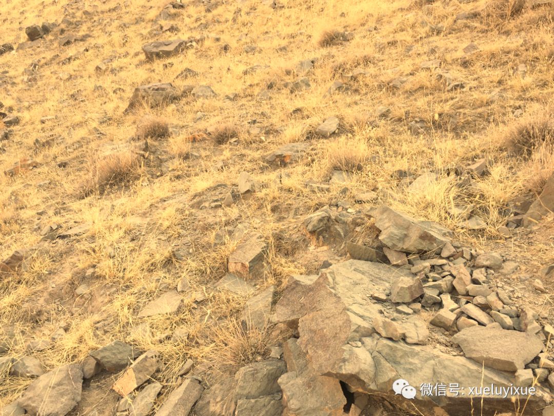 砂飞水反两无情的风水格局 图片7