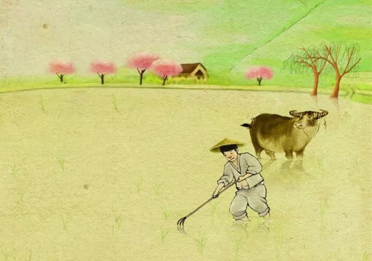 关于清明节的那些事儿 图片3