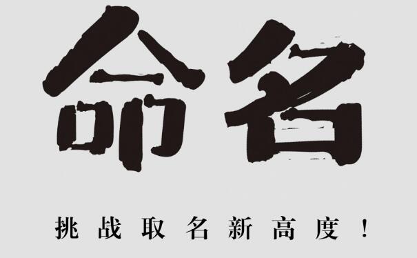 有象必有灵有灵必有应姓名/商标/微信名与运势相关 图片1