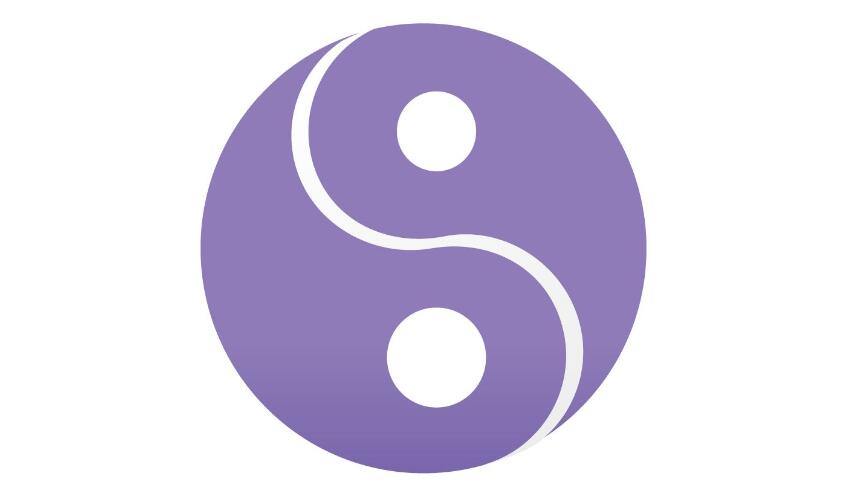 紫微斗数推断逻辑和断卦技法 图片1