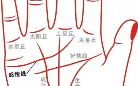 手相感情线分析，看你的感情线属于哪一种