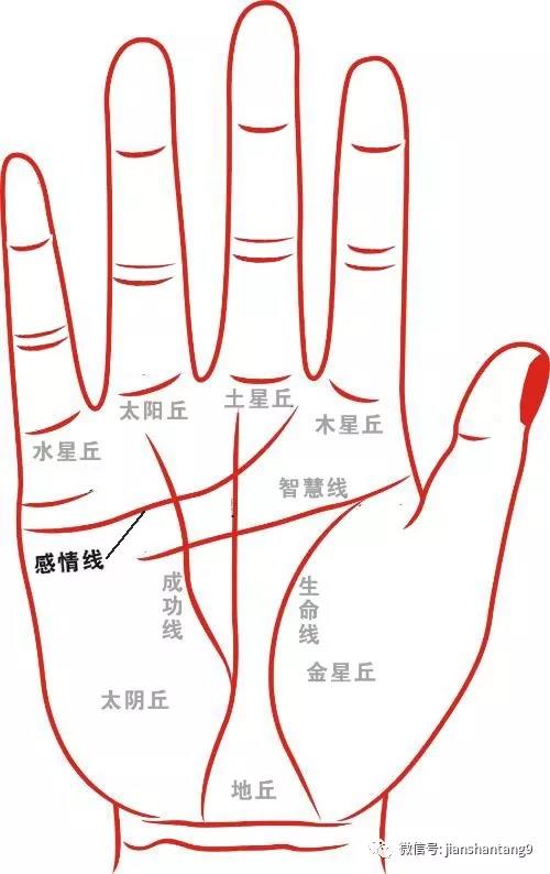 手相感情线分析，看你的感情线属于哪一种 图片3