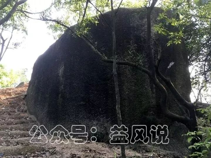 据说身怀大痣的人运气都不会差 图片13