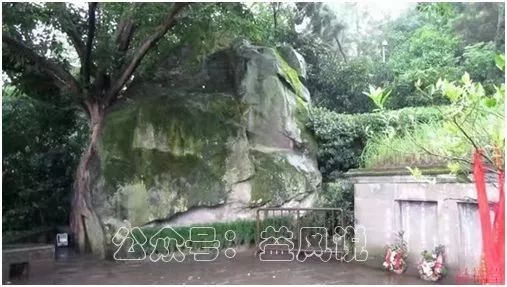 据说身怀大痣的人运气都不会差 图片21