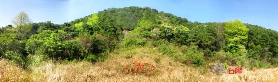 据说身怀大痣的人运气都不会差 图片23
