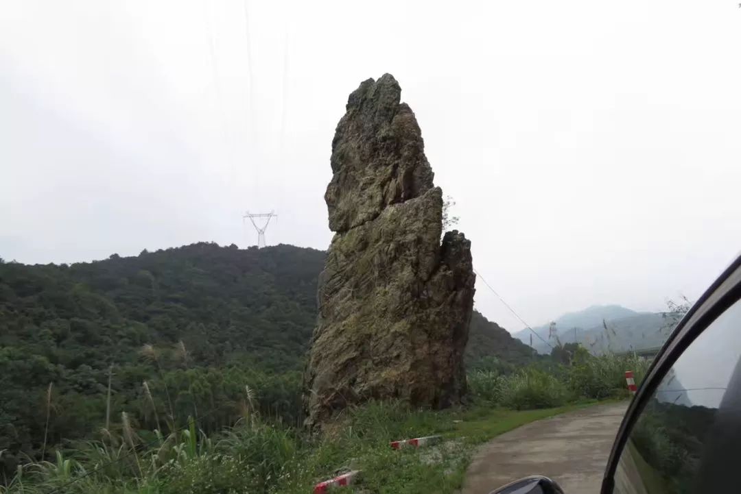 据说身怀大痣的人运气都不会差 图片25