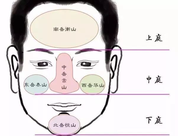 潜力股的男人在面相上有哪些特点 图片5