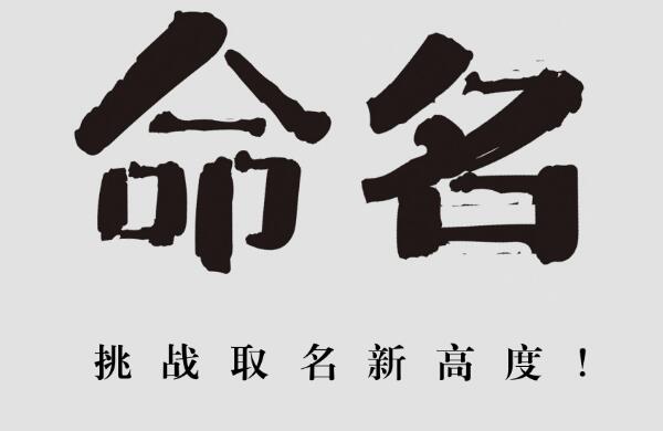 八字起名不应以笔划数吉凶为准 图片1