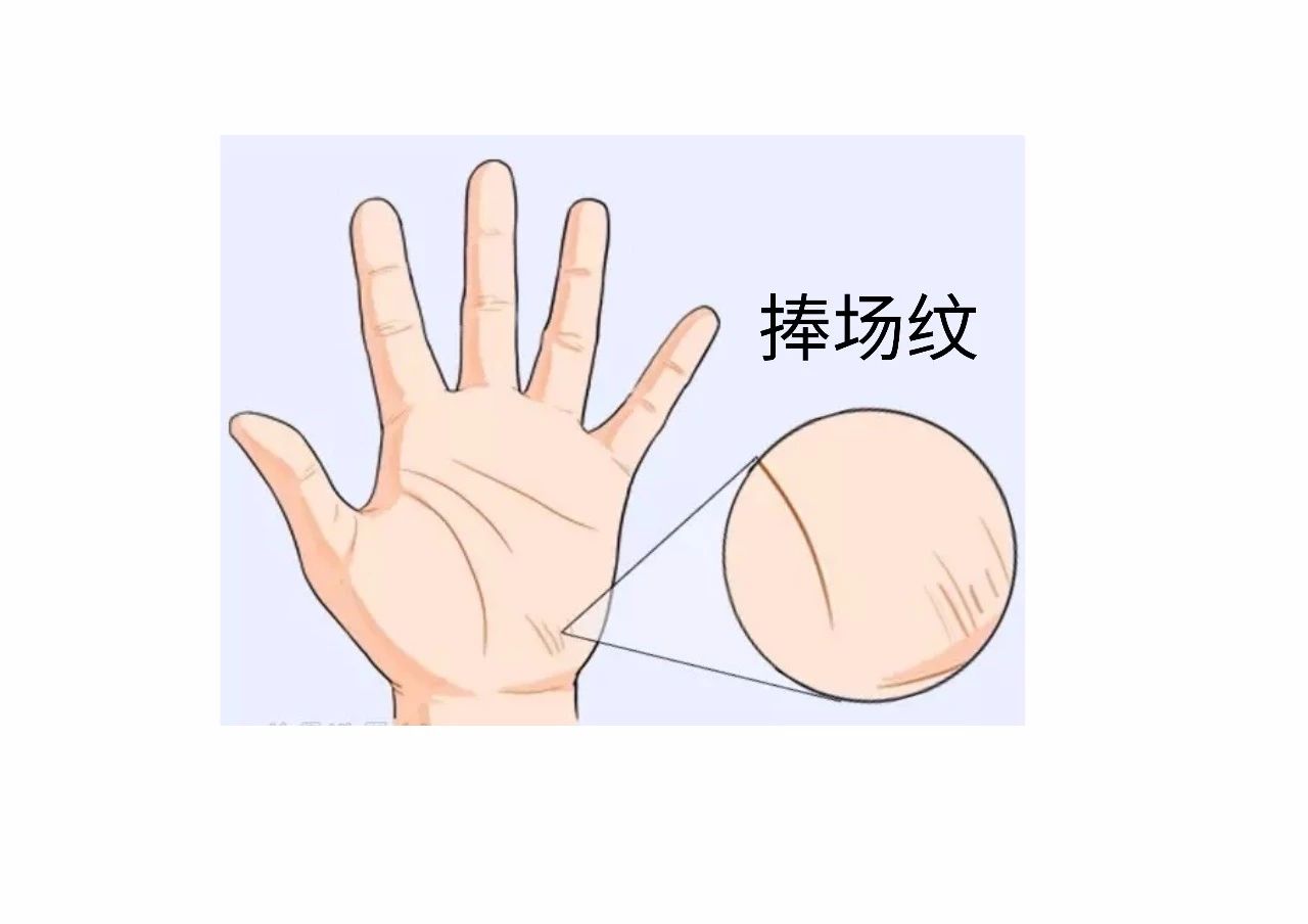 教你怎么从手纹看你适合哪个行业！ 图片21