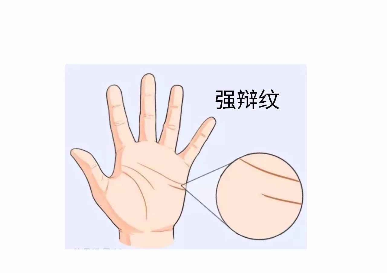 教你怎么从手纹看你适合哪个行业！ 图片23