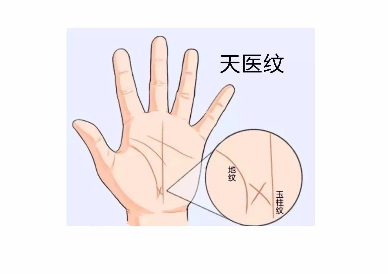 教你怎么从手纹看你适合哪个行业！ 图片25