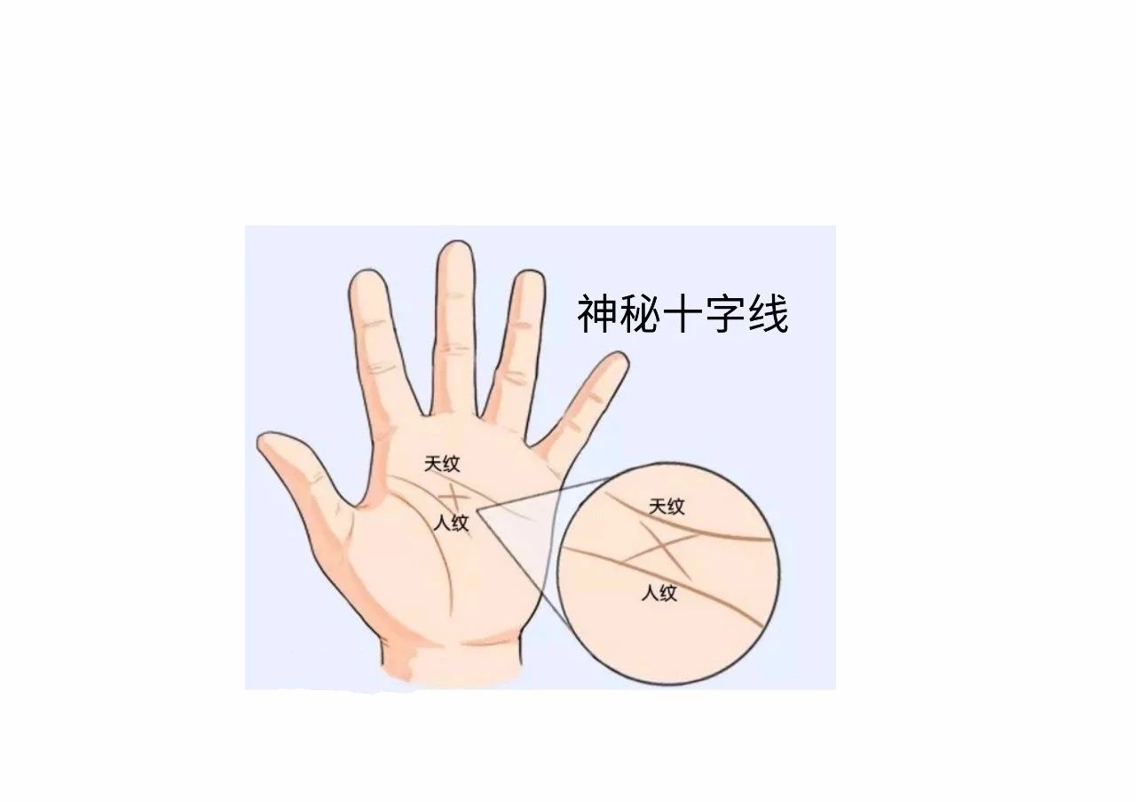 教你怎么从手纹看你适合哪个行业！ 图片27