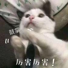 AI看面相人工智能算命，算的还有你的隐私 图片3