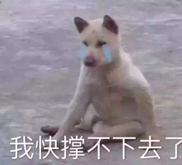 什么是值太岁,冲太岁,破太岁,害太岁？ 图片9