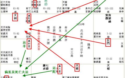 紫微斗数如何监察基因变异与免疫功能下降