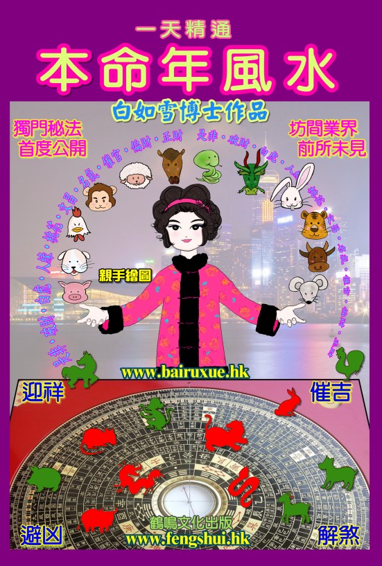 一天精通本命年风水/一天学会看风水 图片1