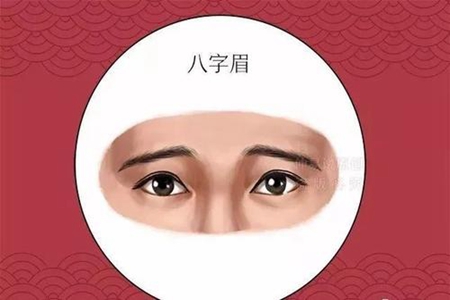 八字眉男人的运势 他们的性格是怎样的 图片1
