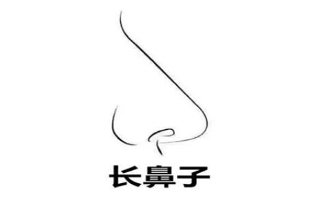 蒜头朝天鼻运势 她们具有什么样的命运