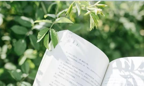 好听的女孩名字有哪些？ 图片3