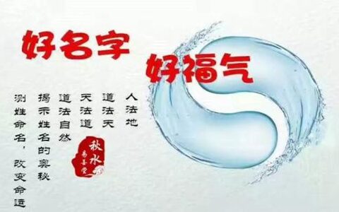 改名字需要什么手续？