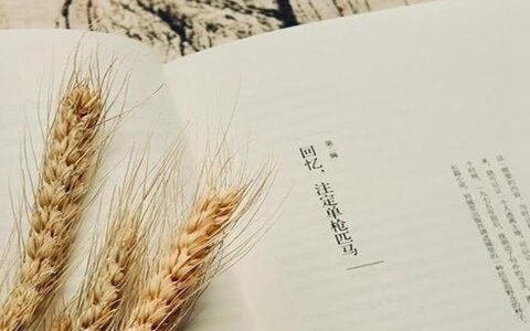 好听的男孩名字大全不可不知！