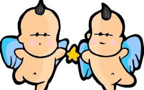 属兔双子座的性格如何 他们能够遇到自己心爱的人吗