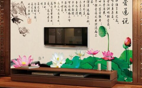 家居风水之客厅电视墙挂画讲究，应该注意什么？