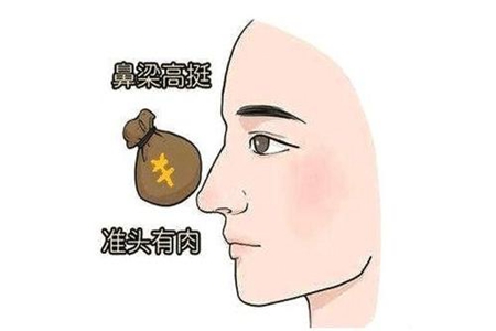 鼻子的运势 不同的鼻头代表着那些不同的运势 图片1