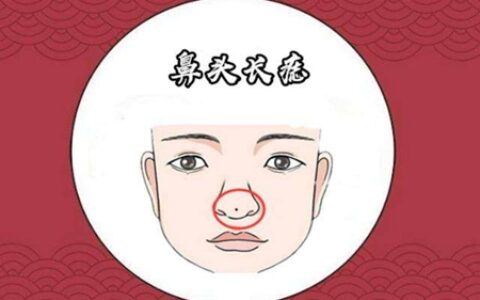鼻子的运势 不同的鼻头代表着那些不同的运势